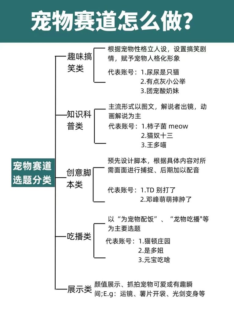 2023年宠物行业背后的赚钱密码，原来这么简单！